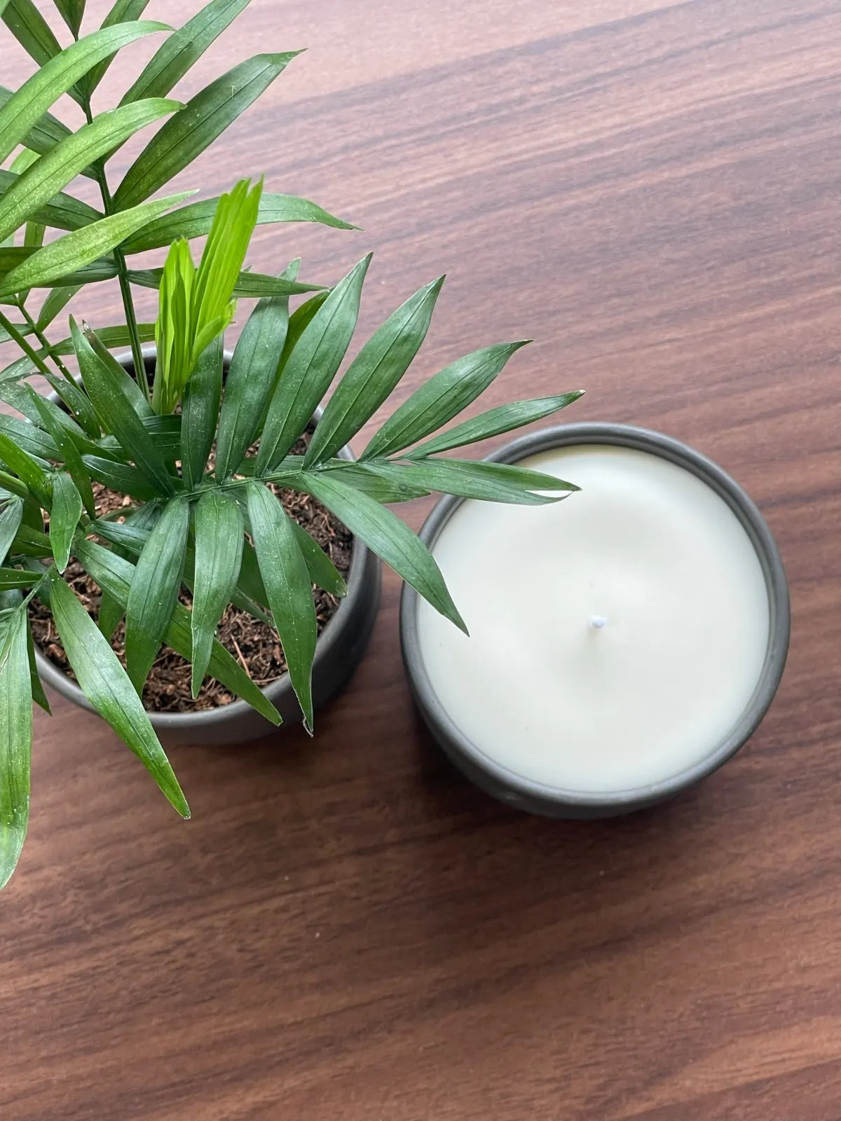 Eco Aroma Soy Wax Candle