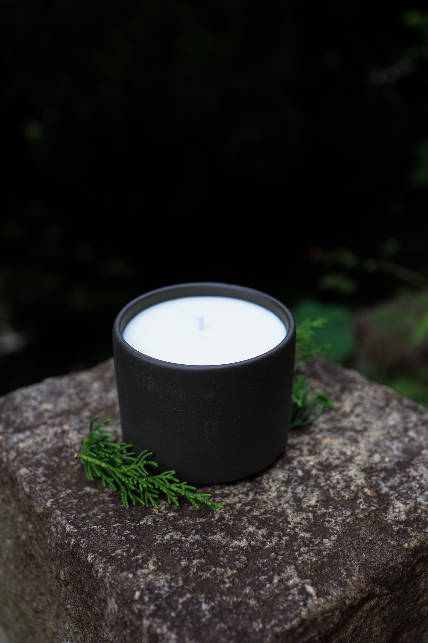 Eco Aroma Soy Wax Candle